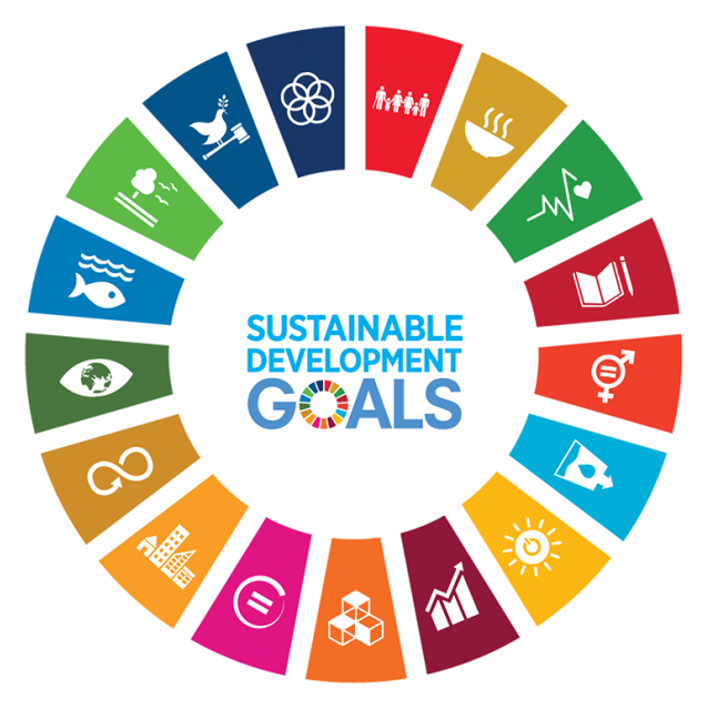 Sustainable Development Goals logo
